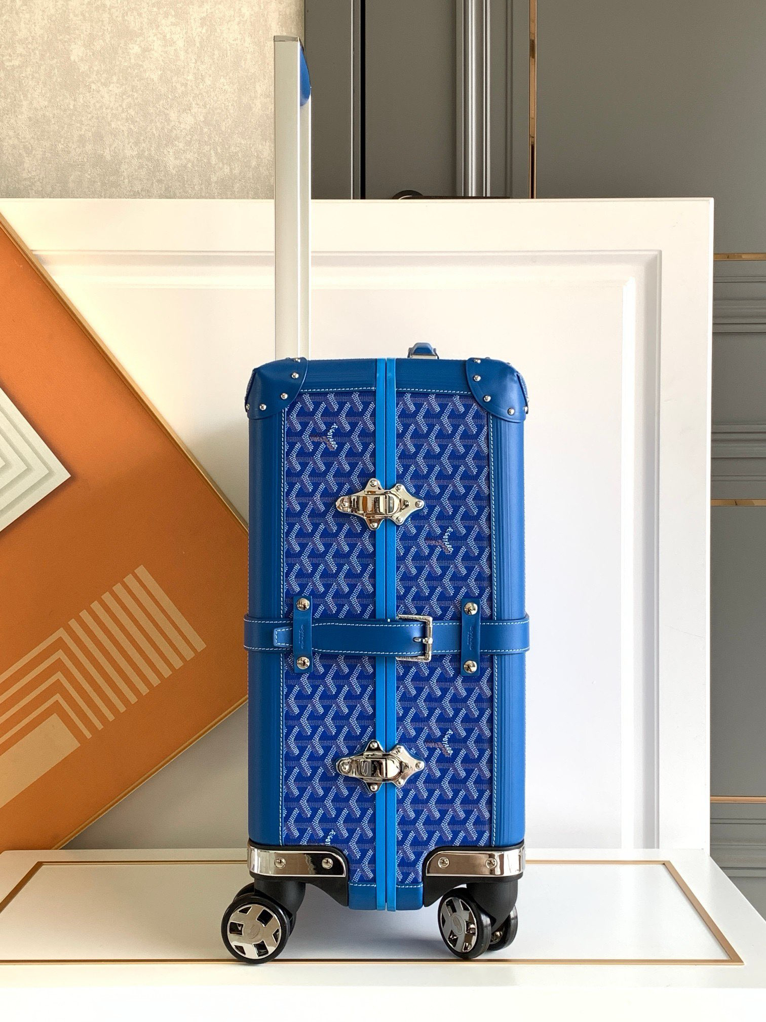 Goyard luggage-38