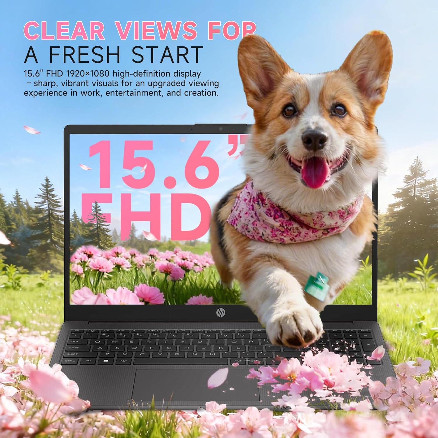HP Flagship 15.6