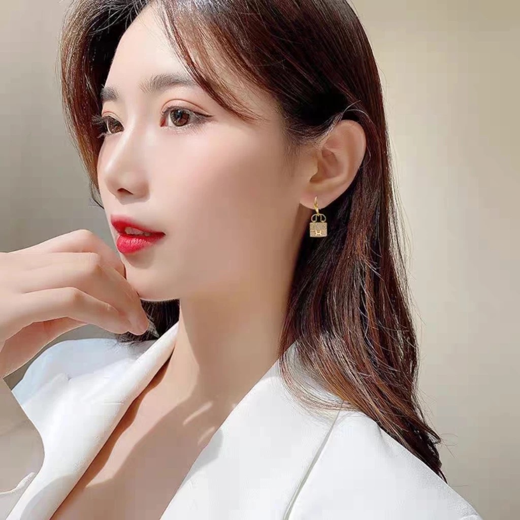 Hermes earrings-50