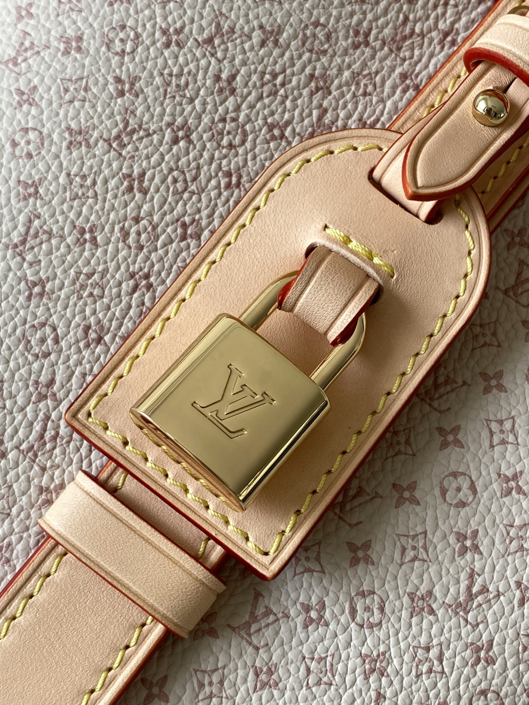 Louis Vuitton Hot New Product-192