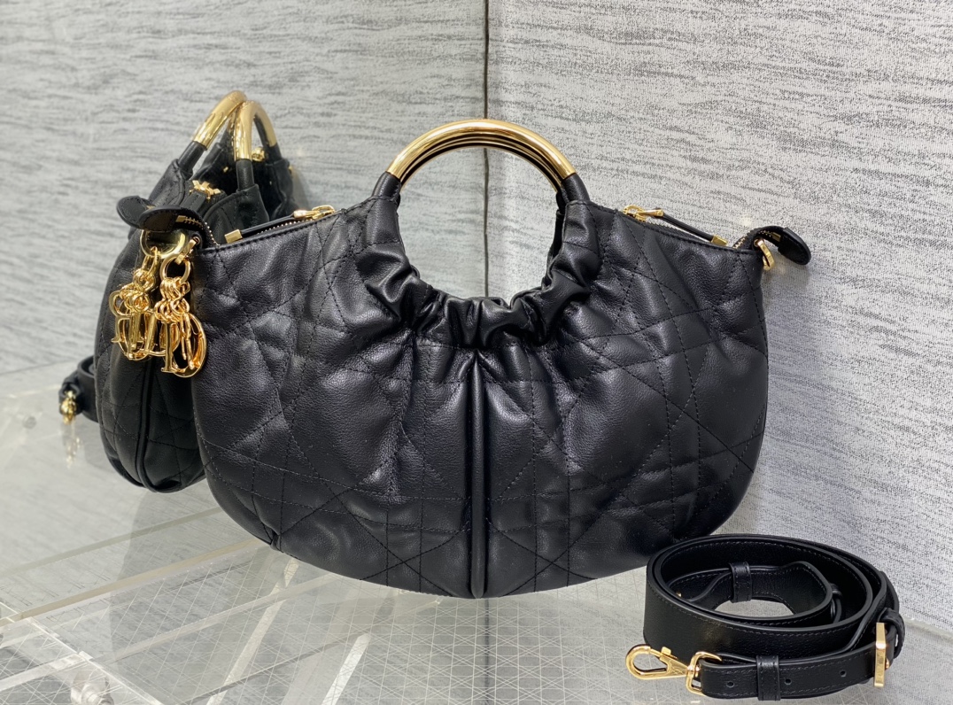 Dior bag-51