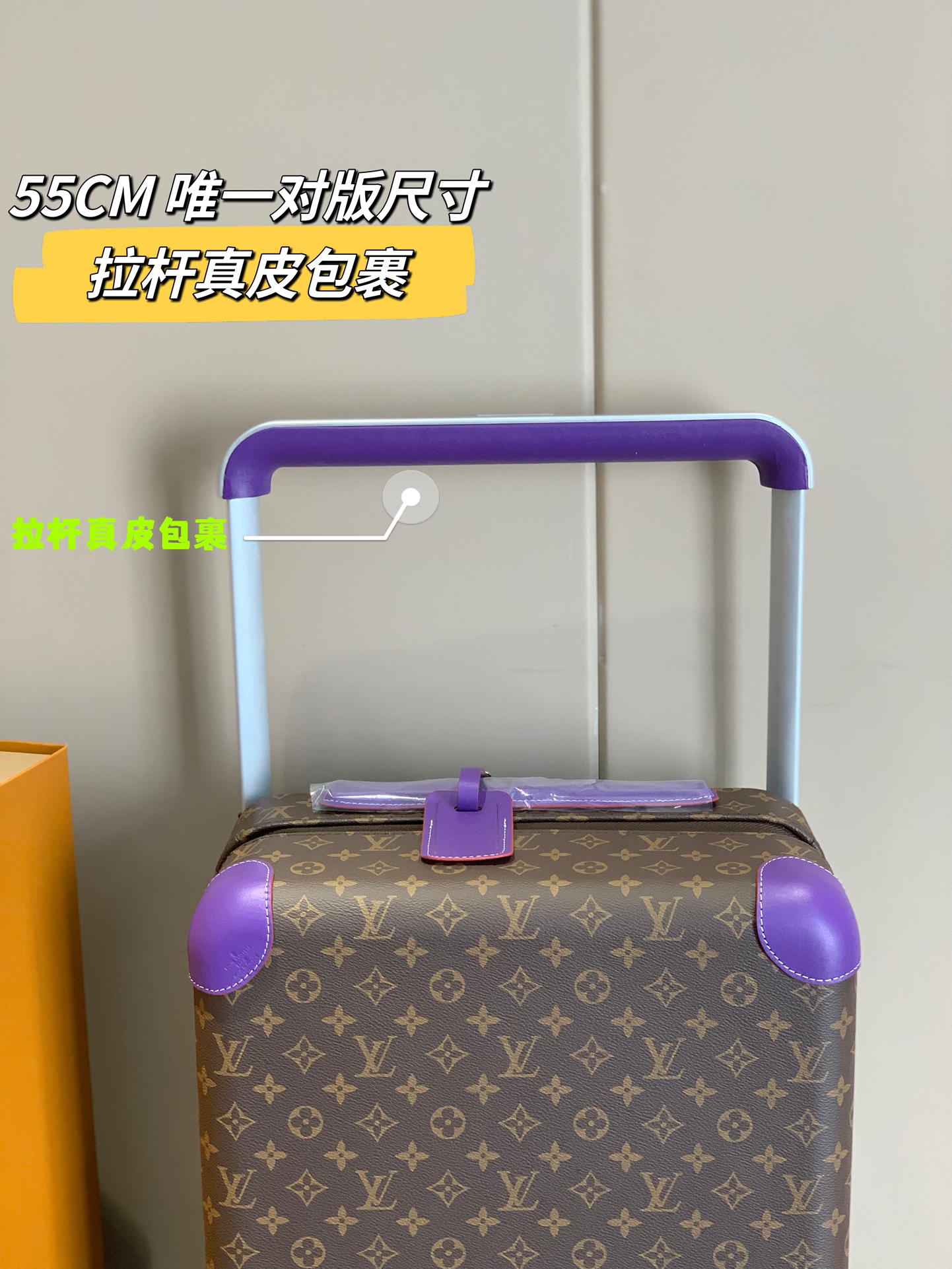 LV luggage-22