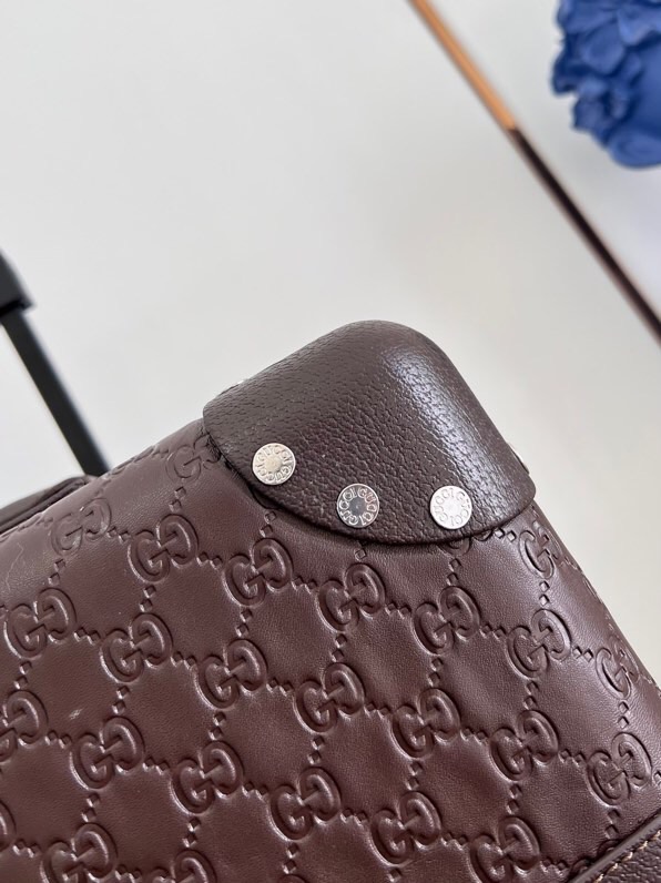 Gucci luggage-9