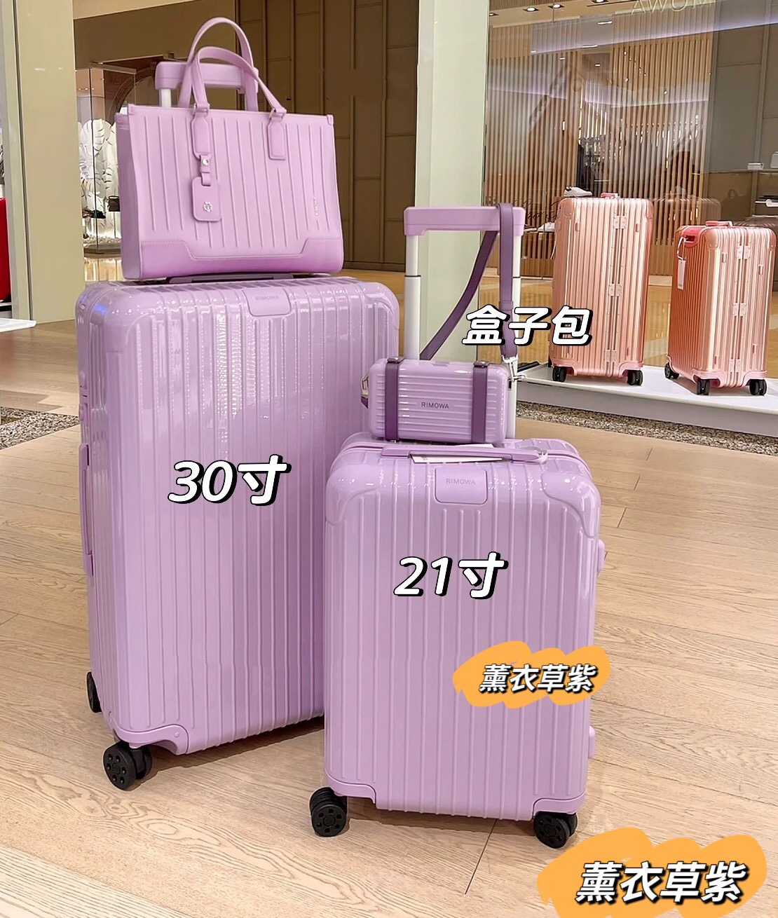 RIMOWA luggage-103