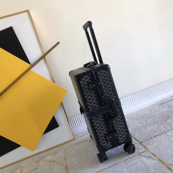 Goyard luggage-50