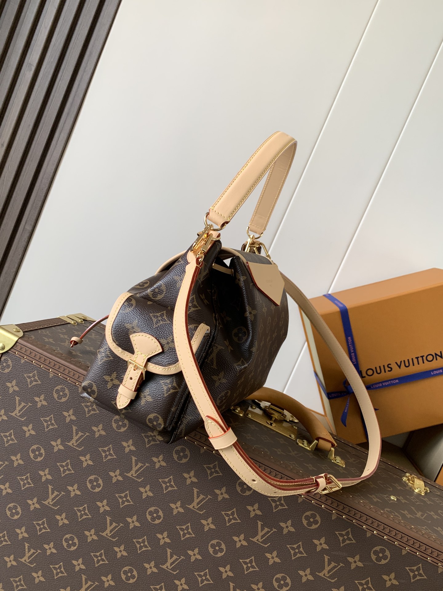 Louis Vuitton Hot New Product-34
