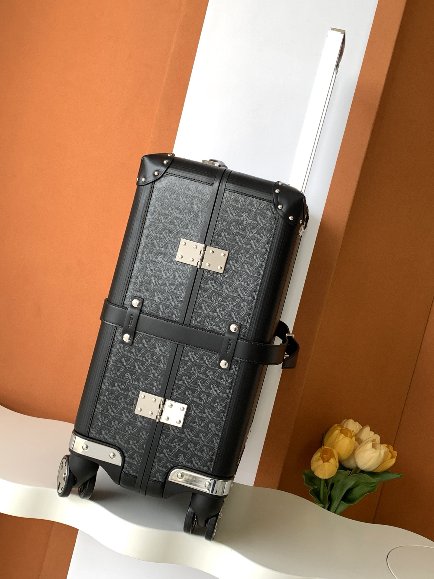 Goyard luggage-42