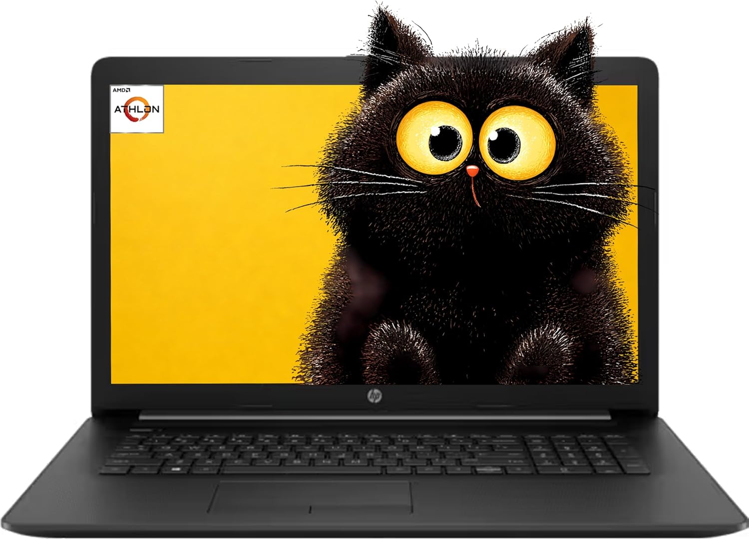 HP 17.3