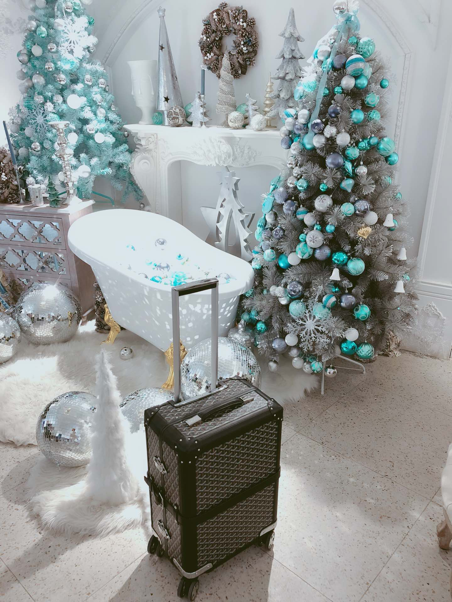Goyard luggage-26