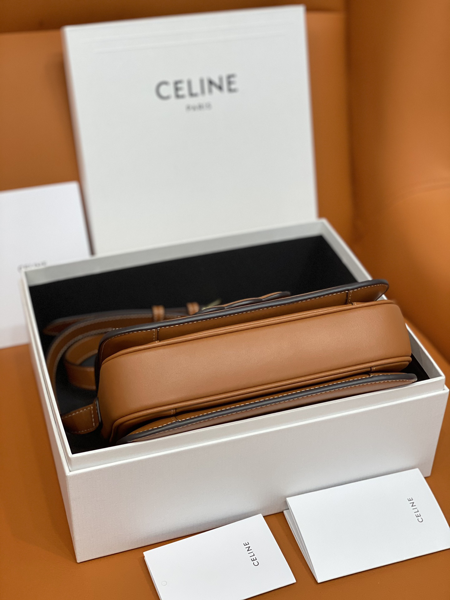 Celine Hot New Product-110