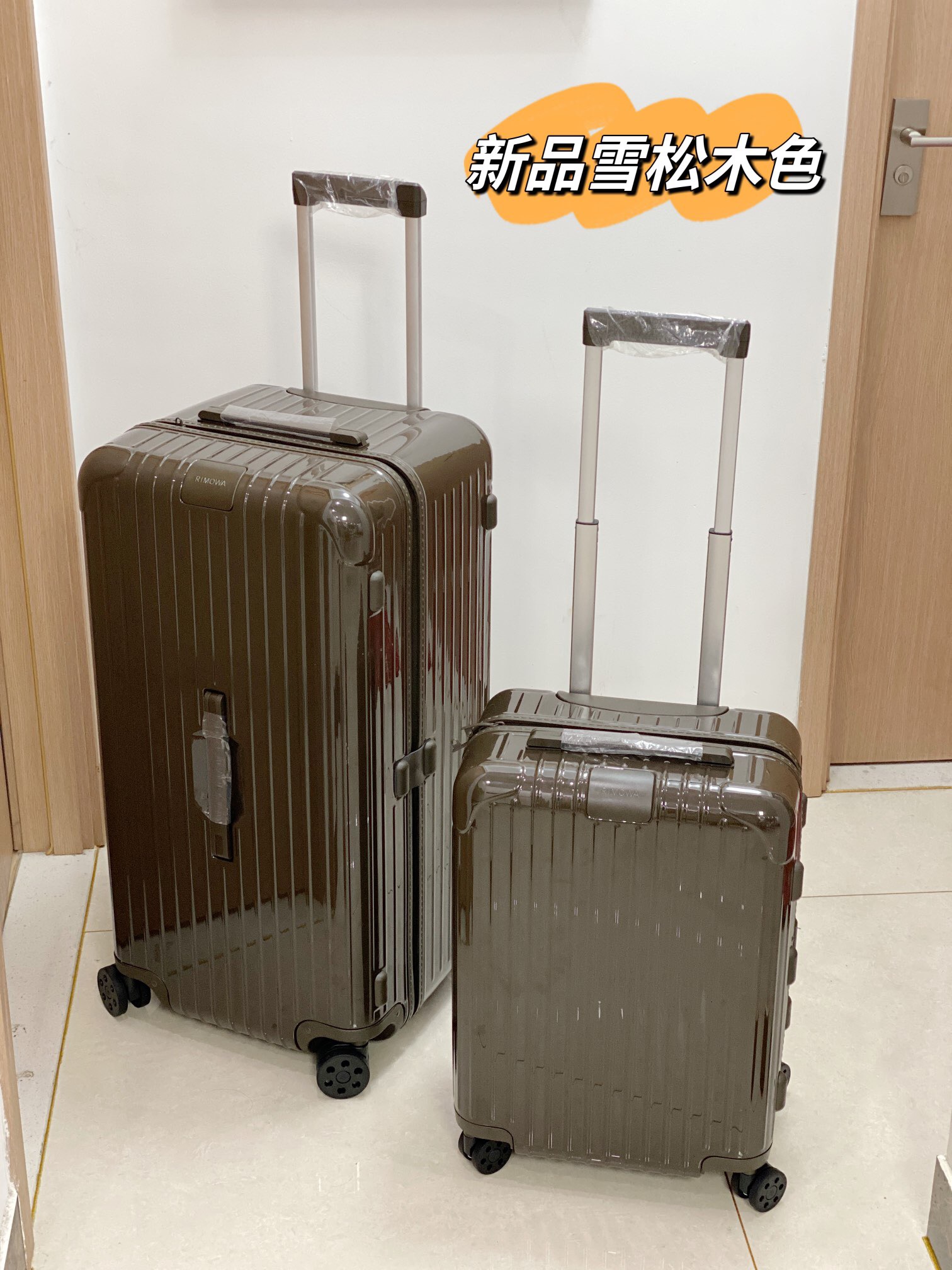 RIMOWA luggage-99