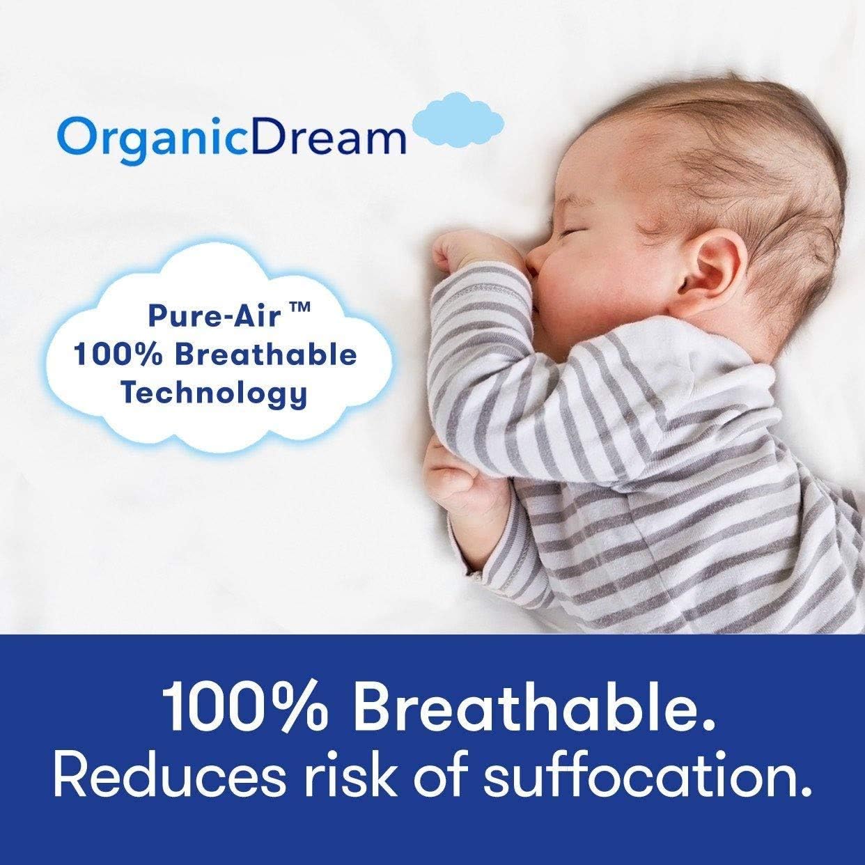 ORGANICDREAM 5