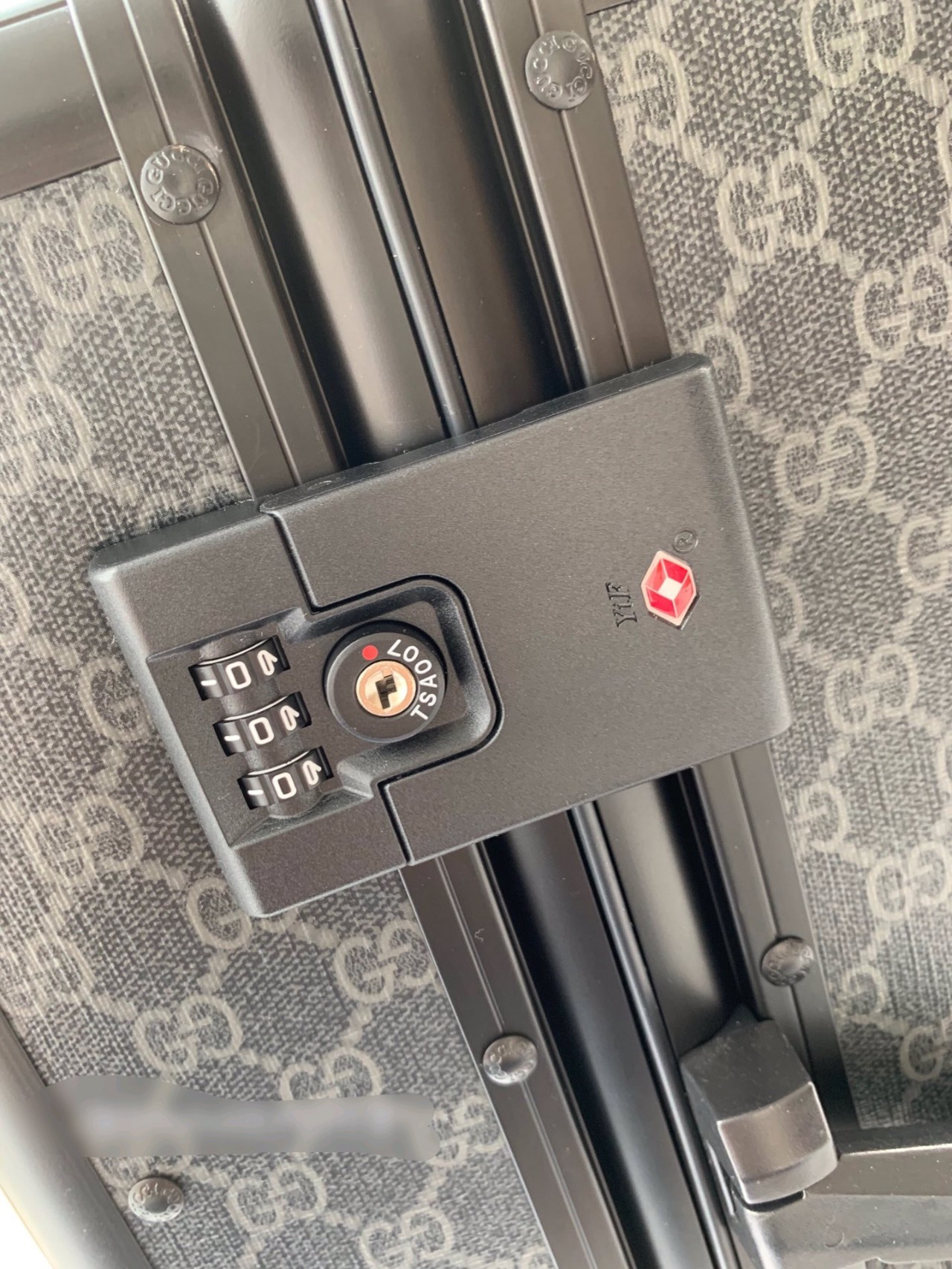 Gucci luggage-26