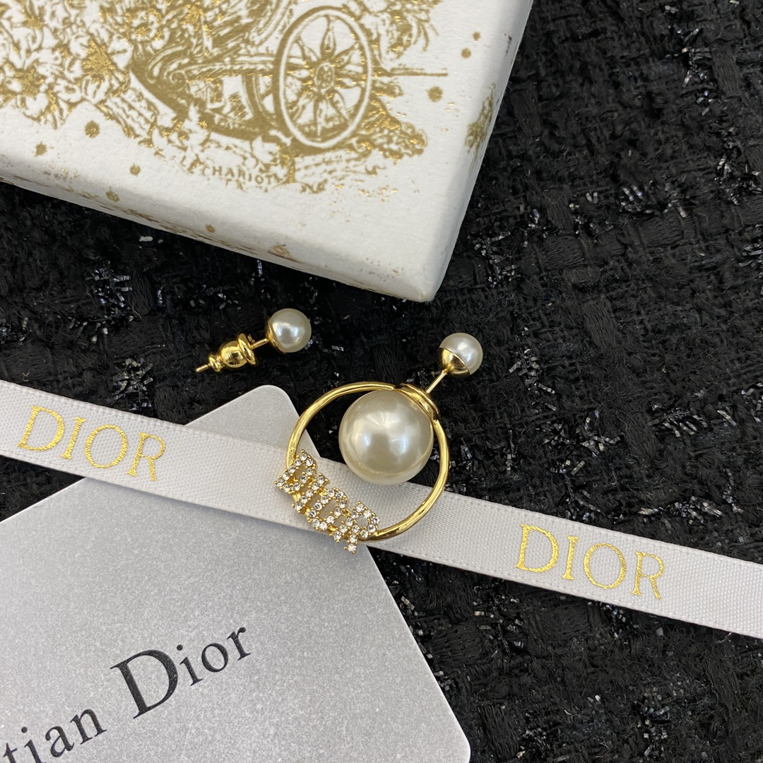 Dior earrings-84