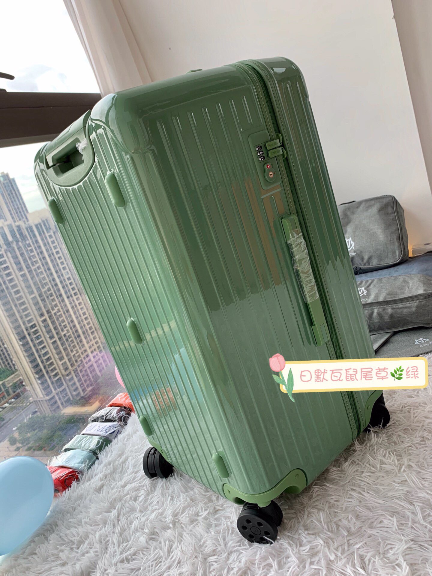 RIMOWA luggage-95