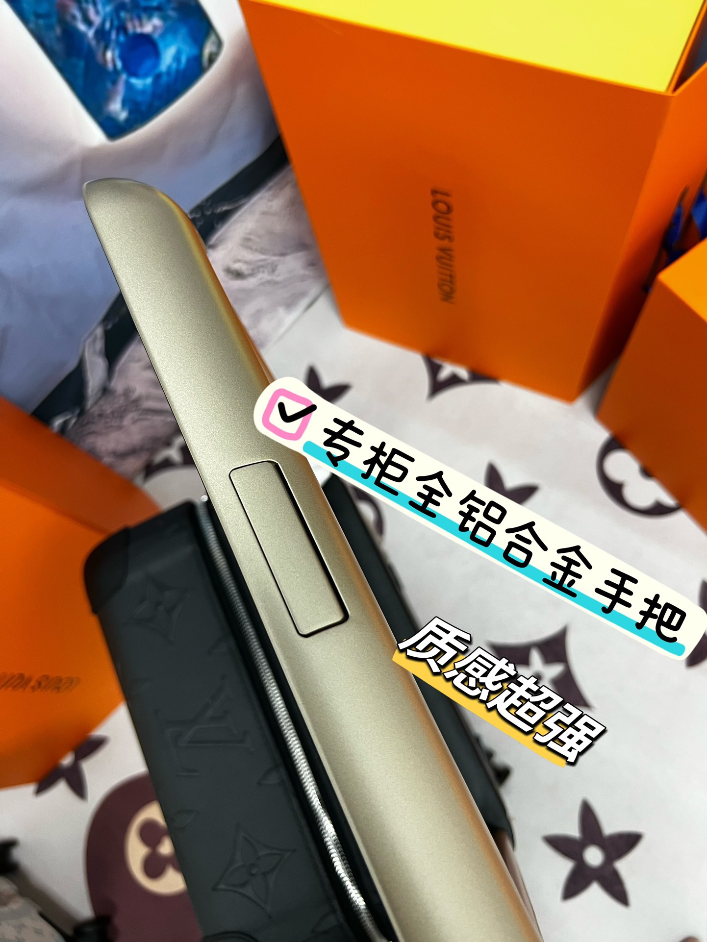 LV luggage-36
