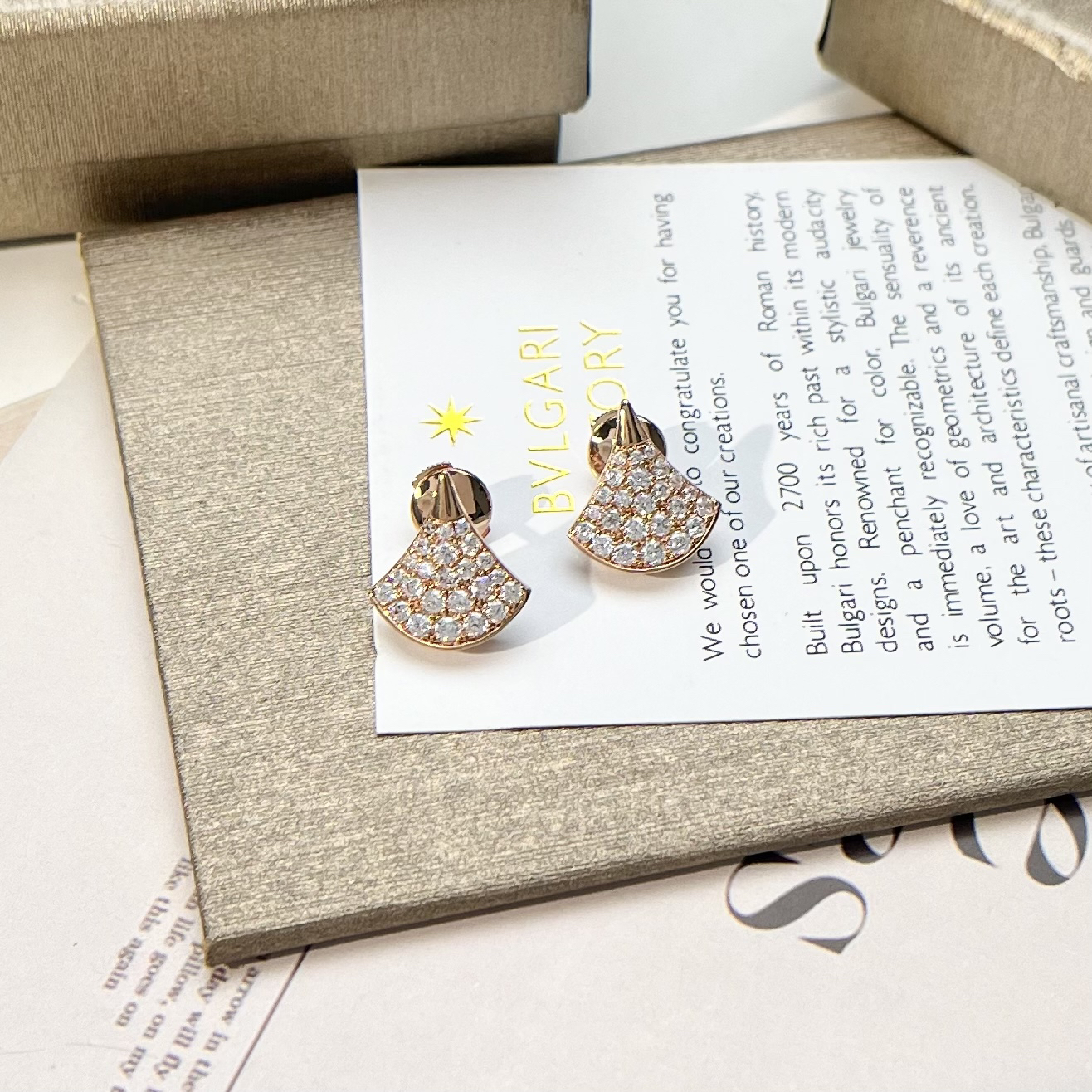 Bottega Veneta earrings-17