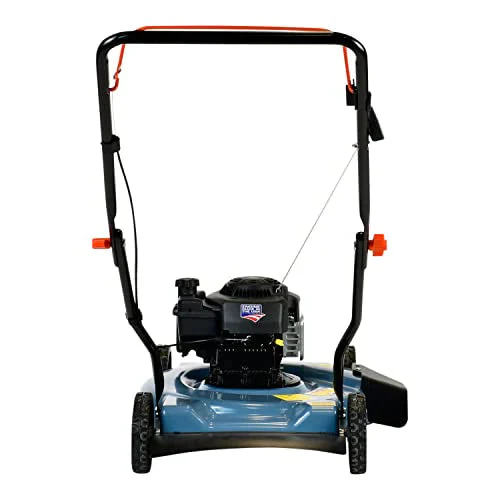 SENIX Gas Lawn Mower, 20-Inch, 125 cc 4-Cycle Briggs & Stratton Engine, Push Lawnmower