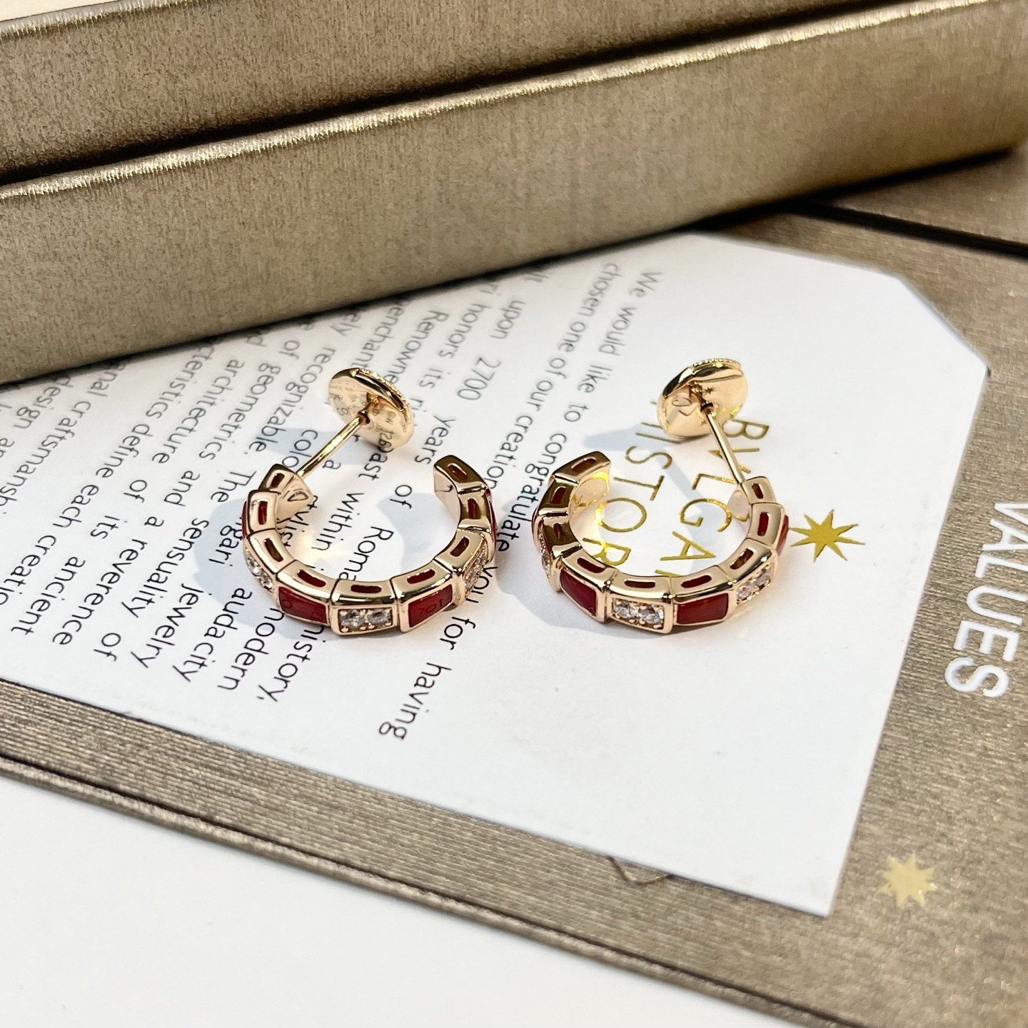 Bottega Veneta earrings-19