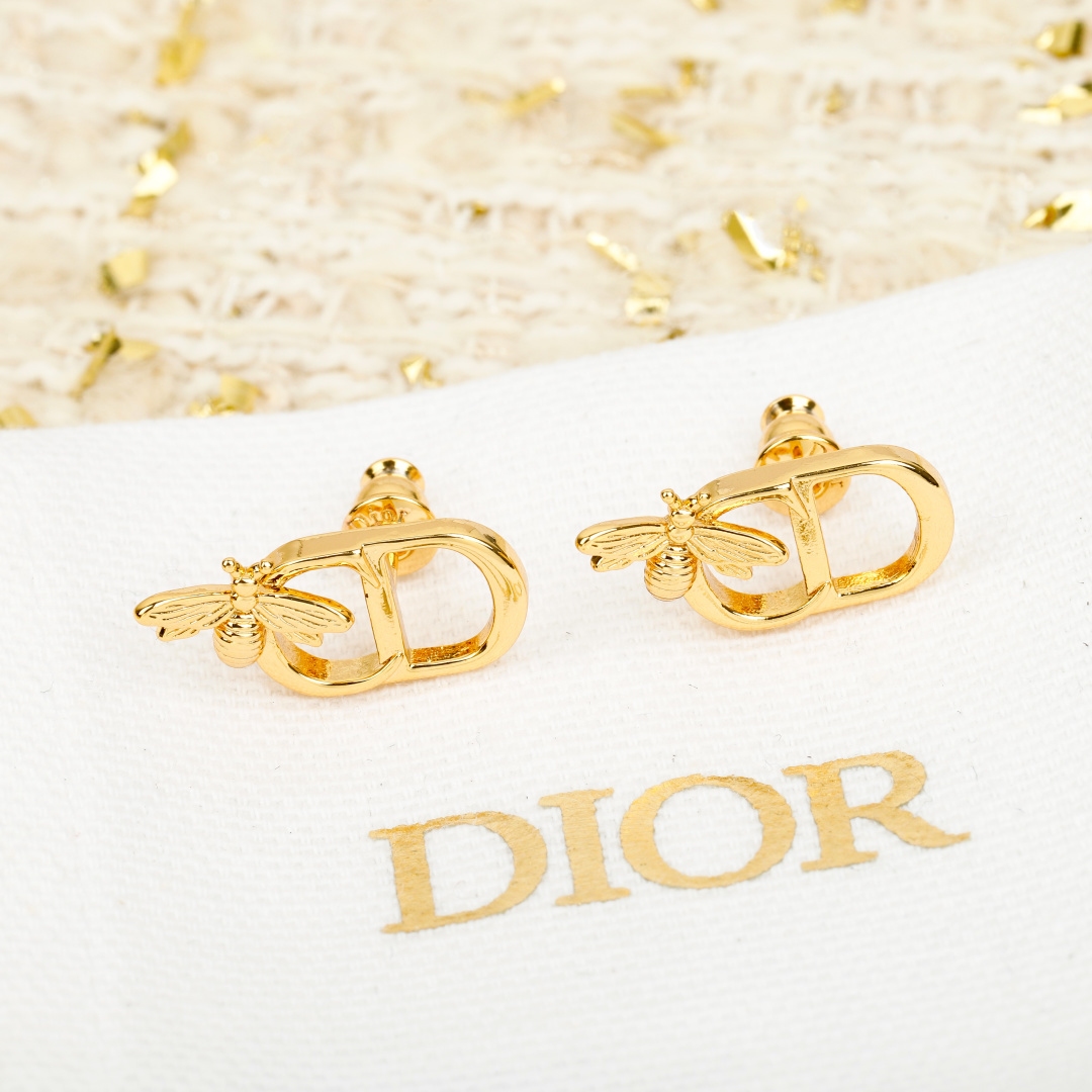 Dior earrings-26