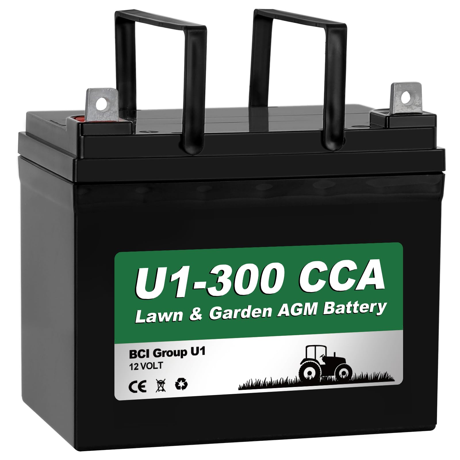 WEIZE Lawn Garden AGM Battery 12V 300CCA BCI Group U1
