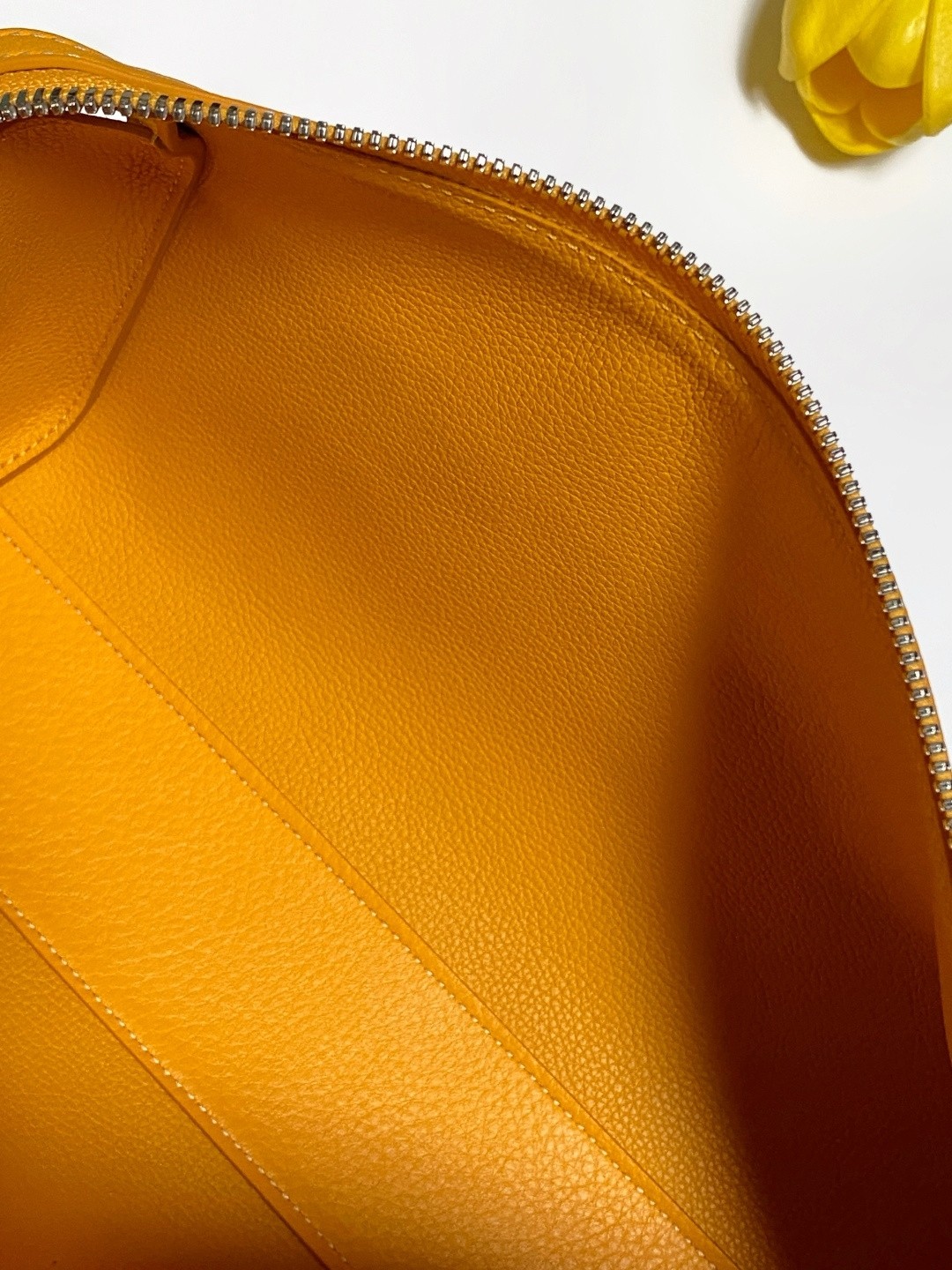 Goyard bags-25