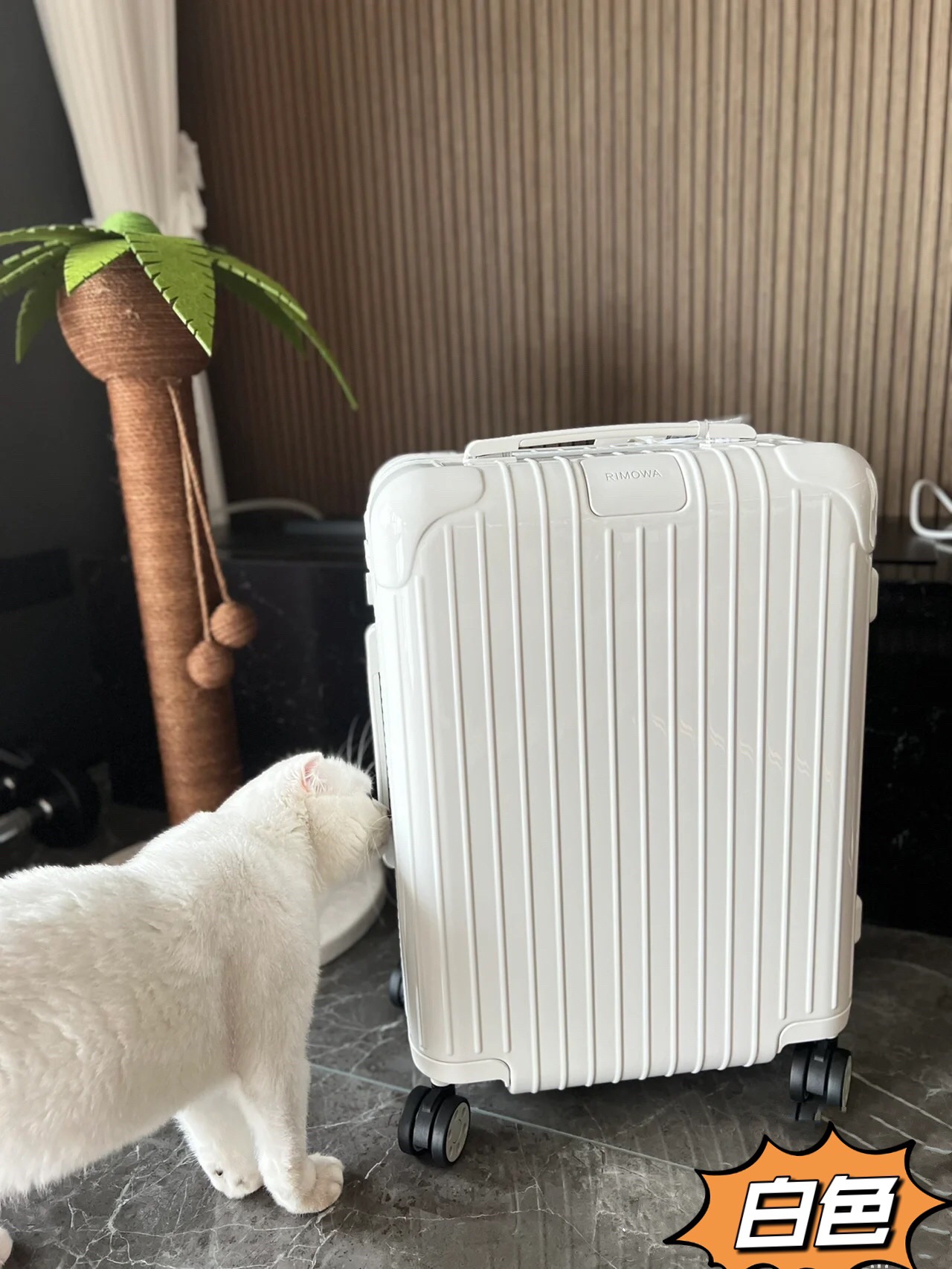 RIMOWA luggage-92