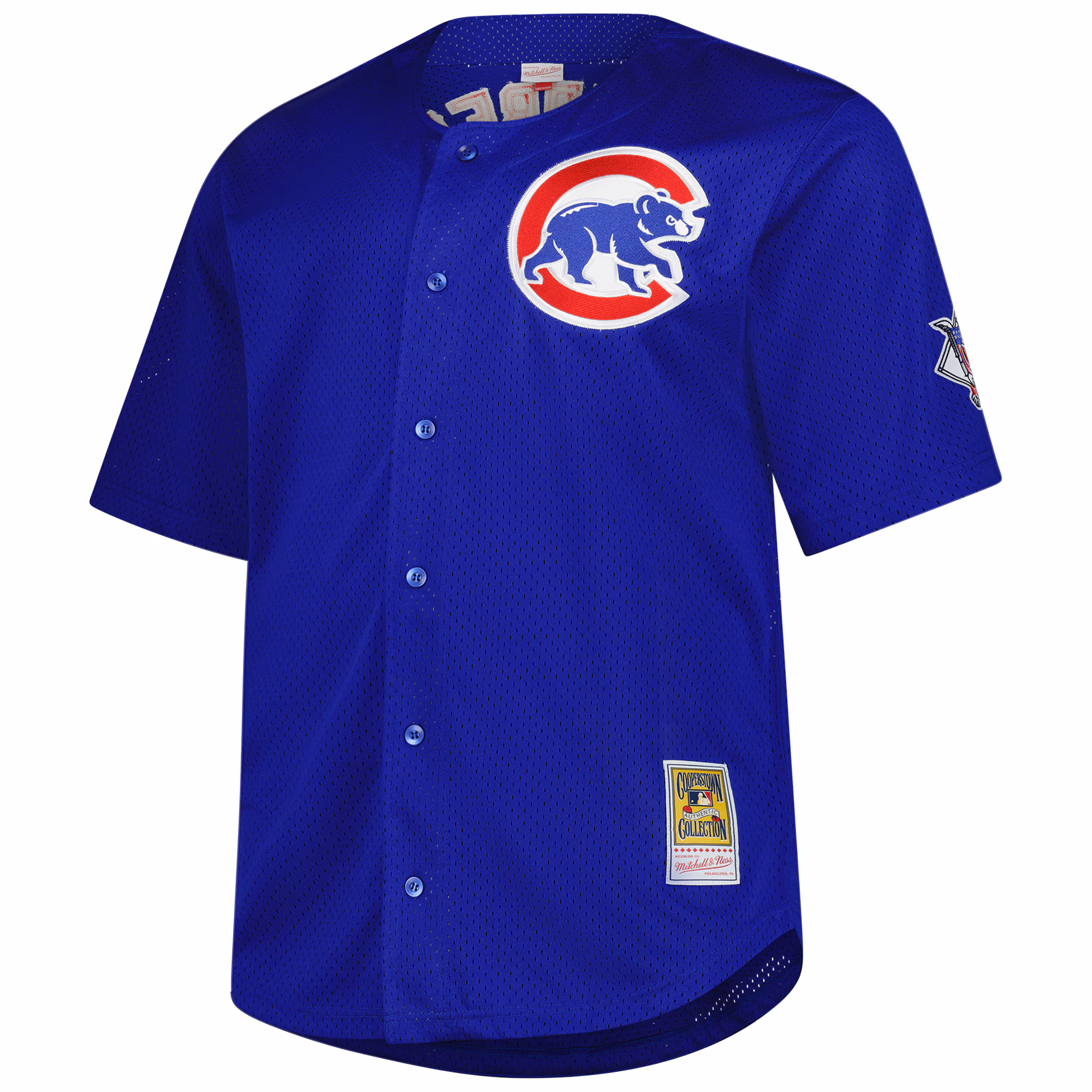 Ryne Sandberg Chicago Cubs Mitchell & Ness Big & Tall Cooperstown Mesh Batting Practice Jersey - Royal