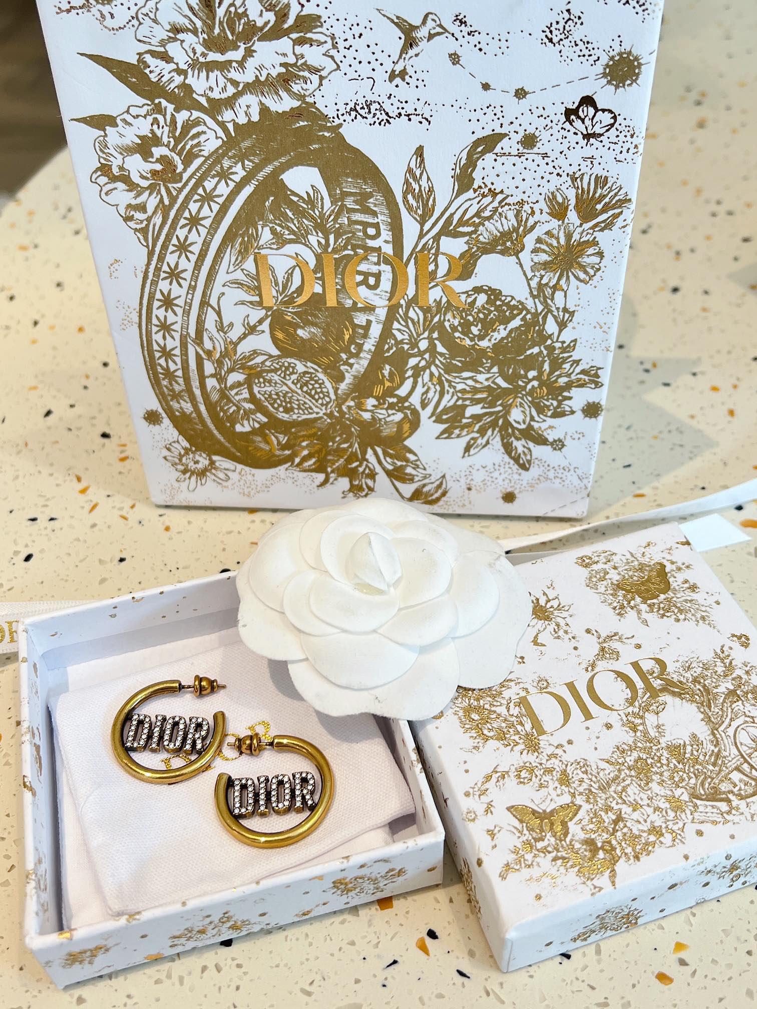Dior earrings-38