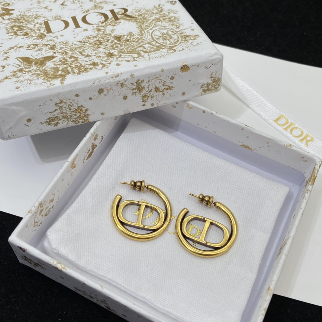 Dior earrings-44
