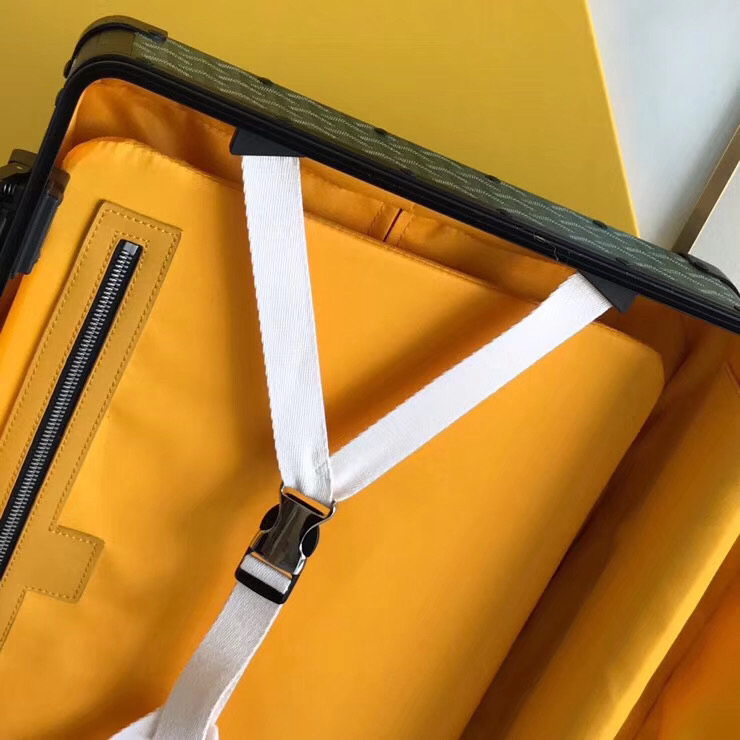 Goyard luggage-49