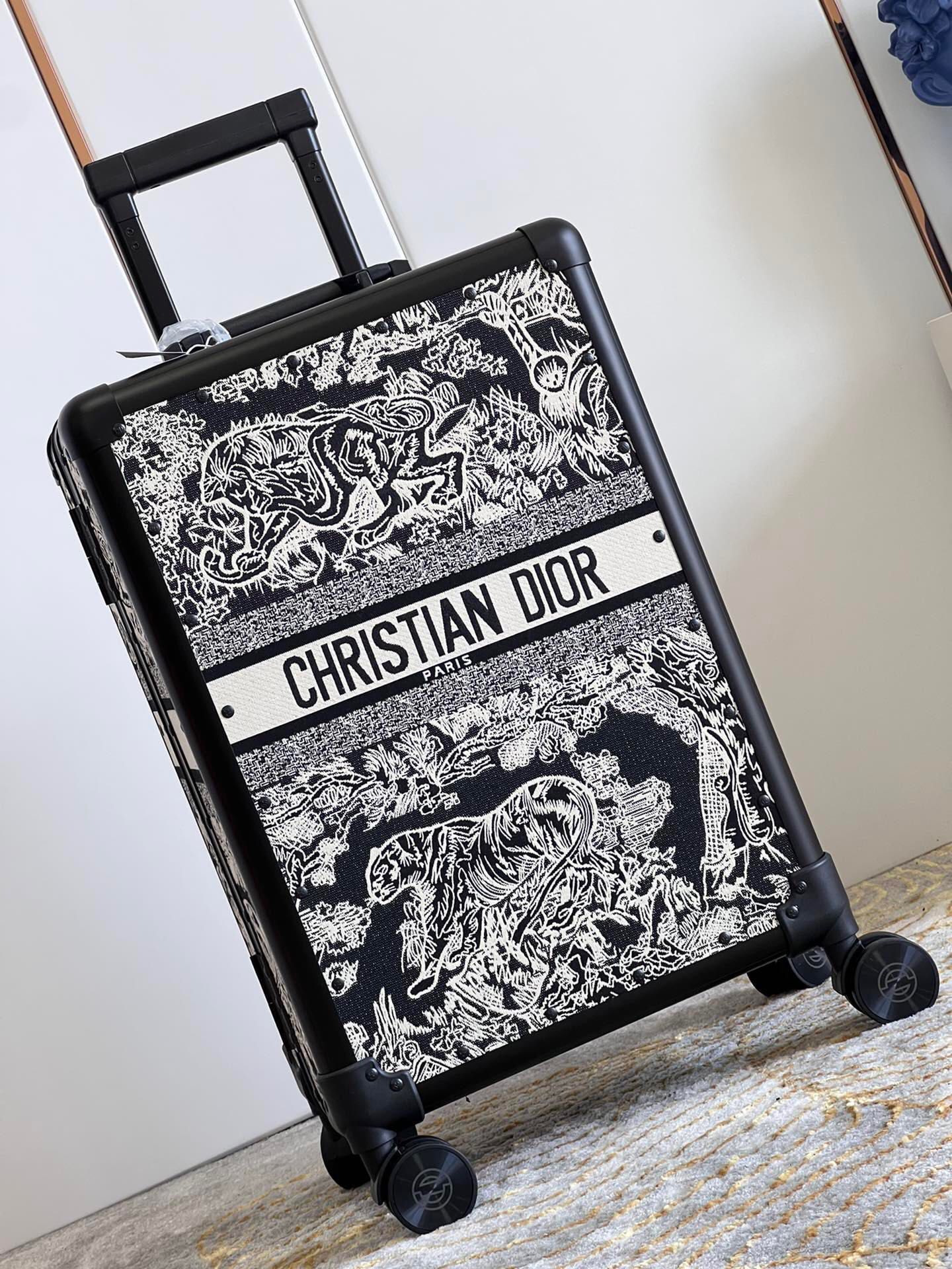 Dior luggage-30