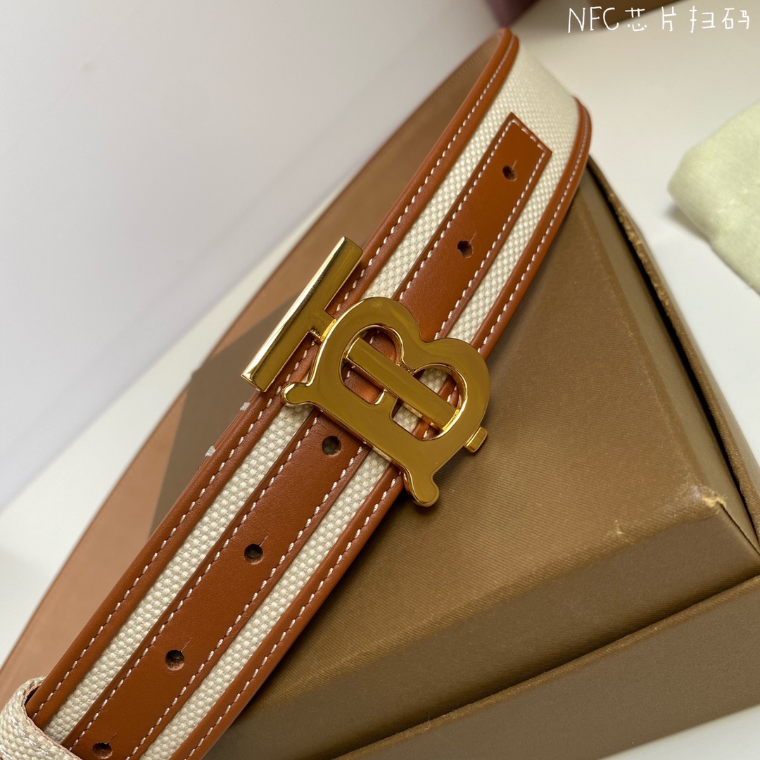 Burberry belt-3