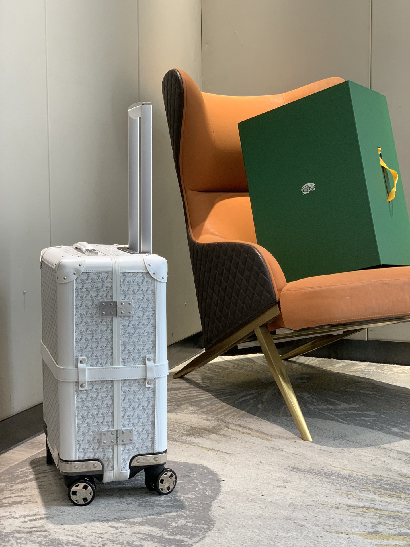Goyard luggage-13