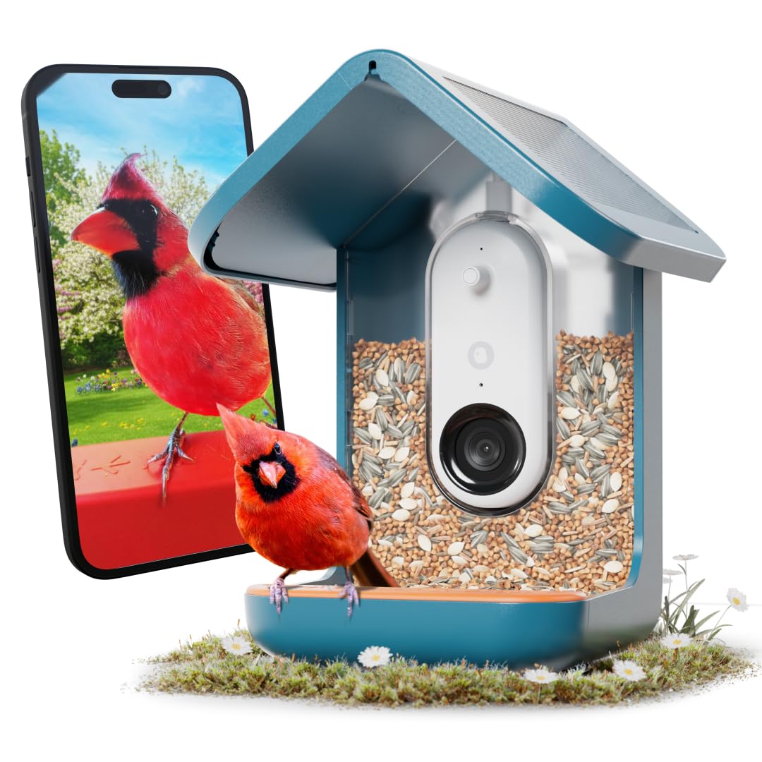 BIRD BUDDY Birdbuddy PRO Solar Smart Bird Feeder with Camera