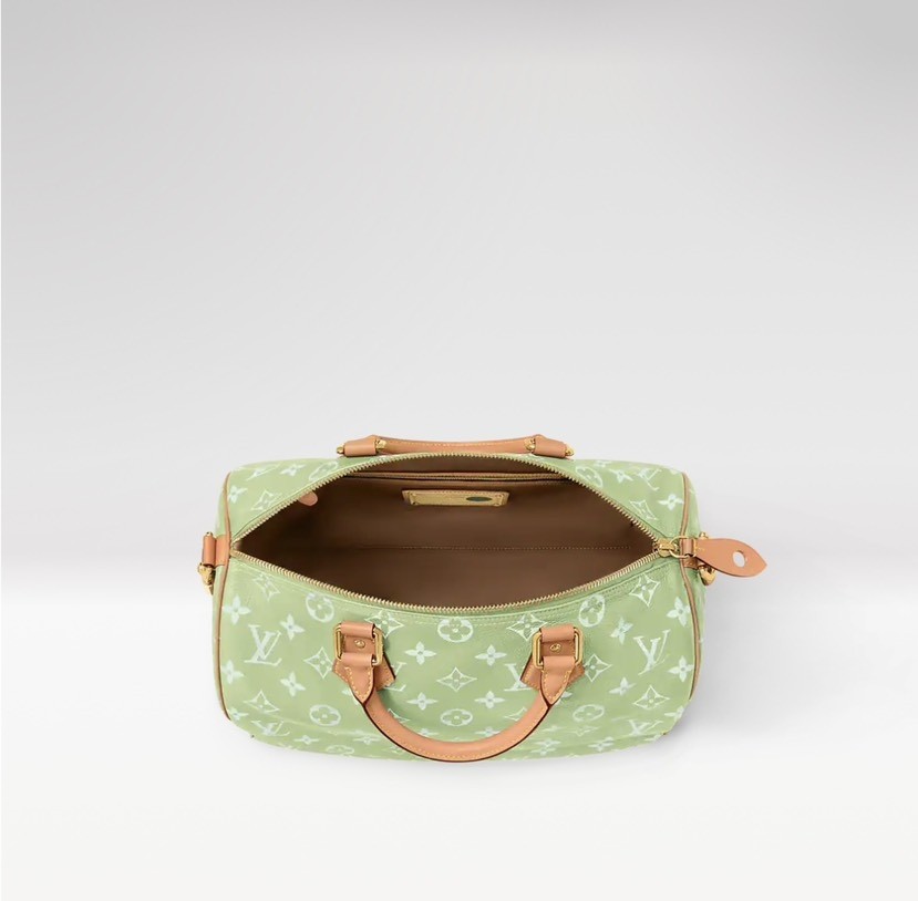 Louis Vuitton Hot New Product-115