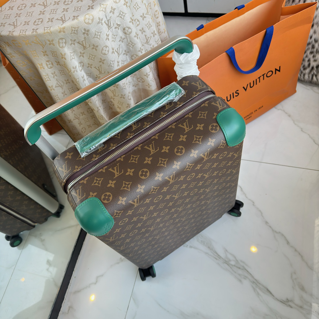 LV luggage-82