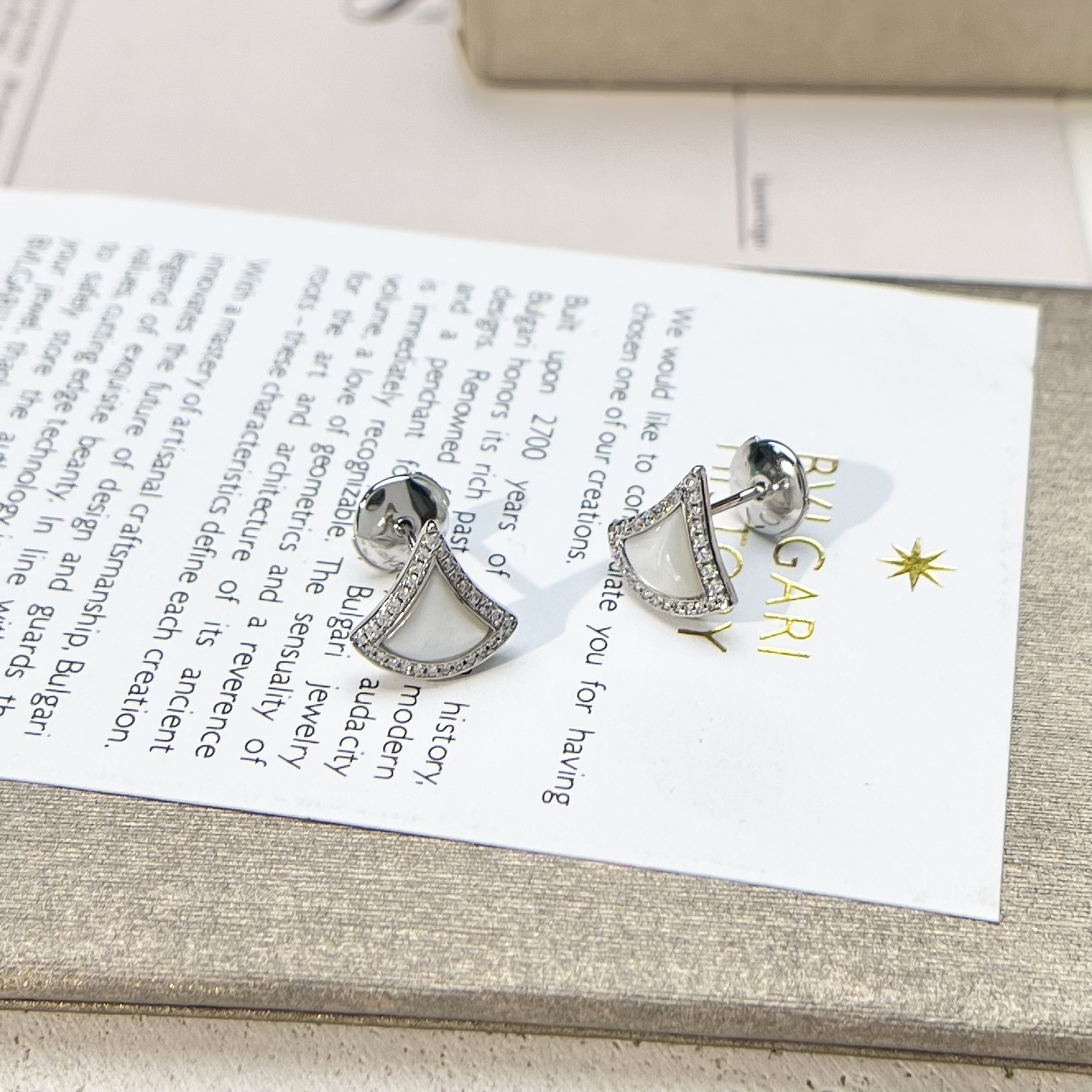 Bottega Veneta earrings-31