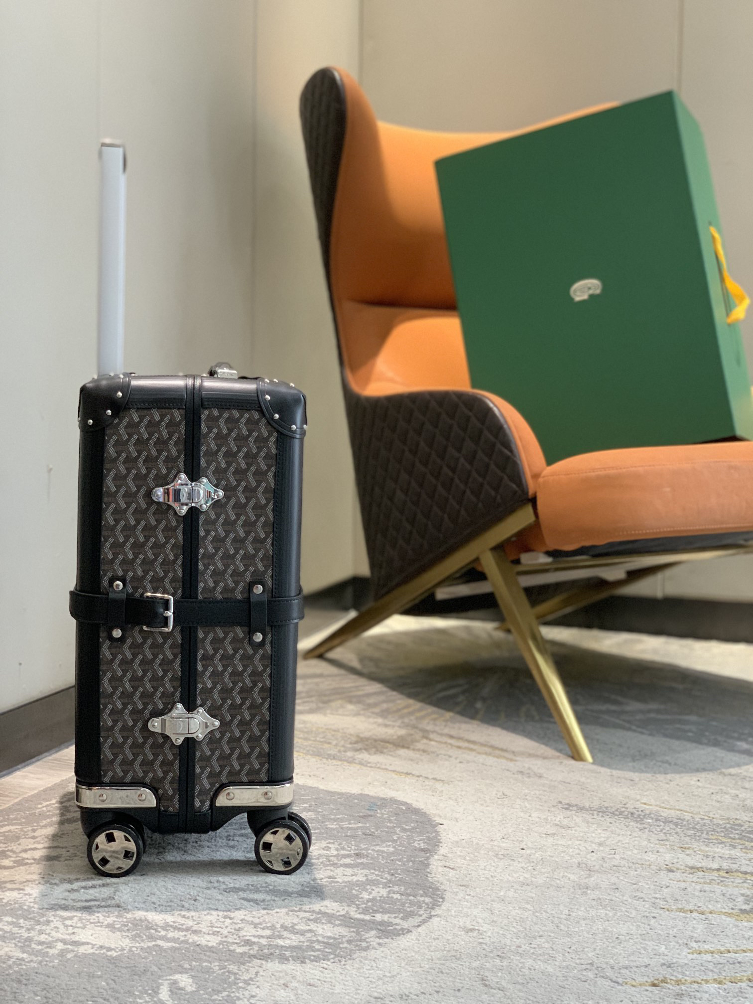 Goyard luggage-6