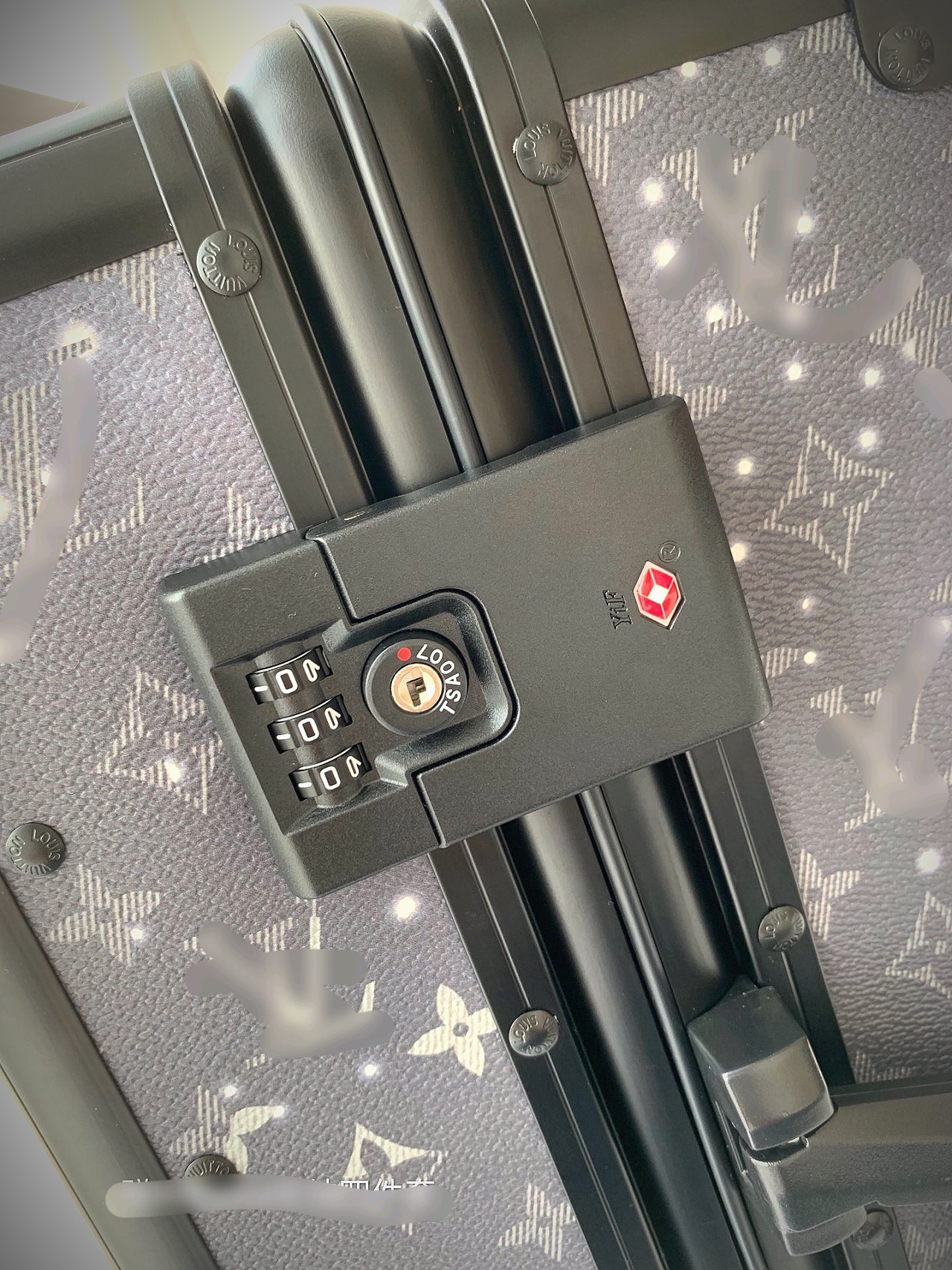 LV luggage-101
