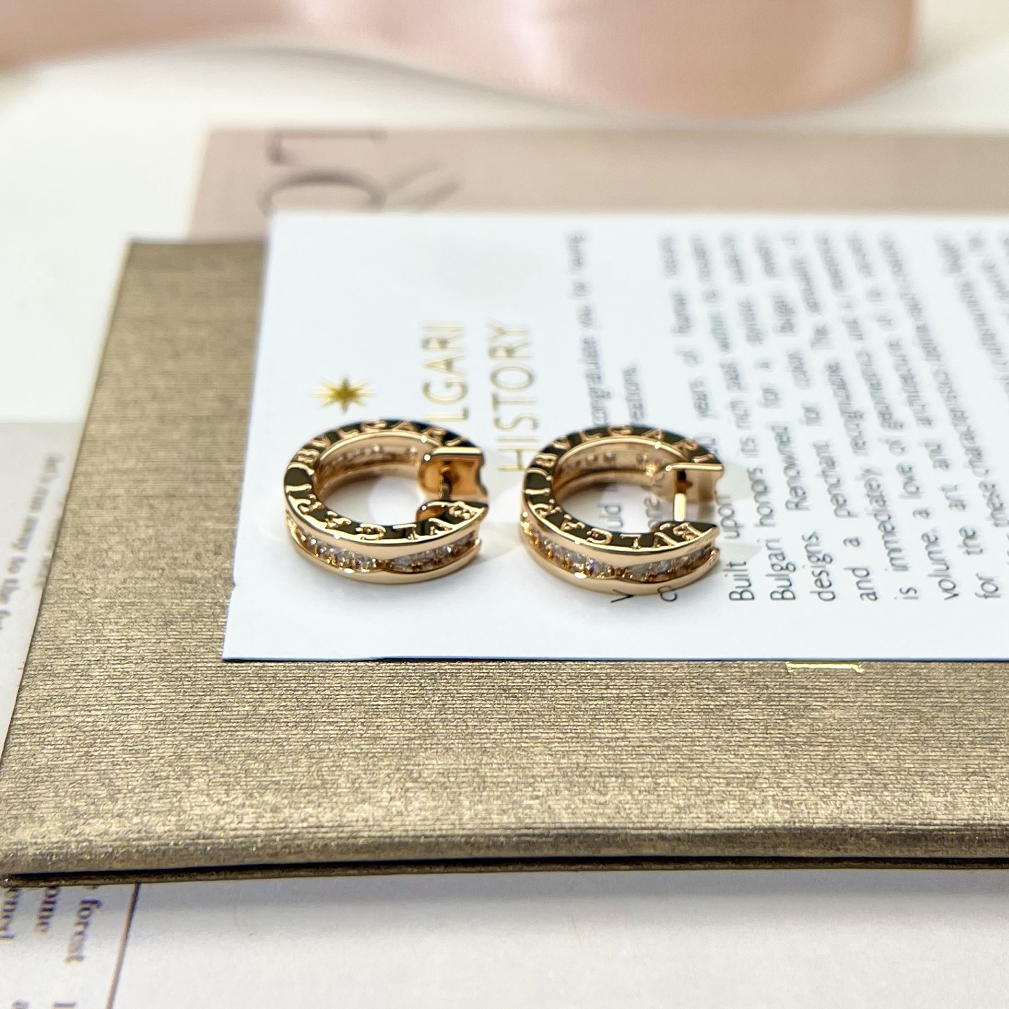 Bottega Veneta earrings-25