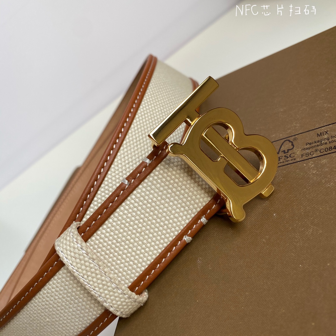 Burberry belt-3