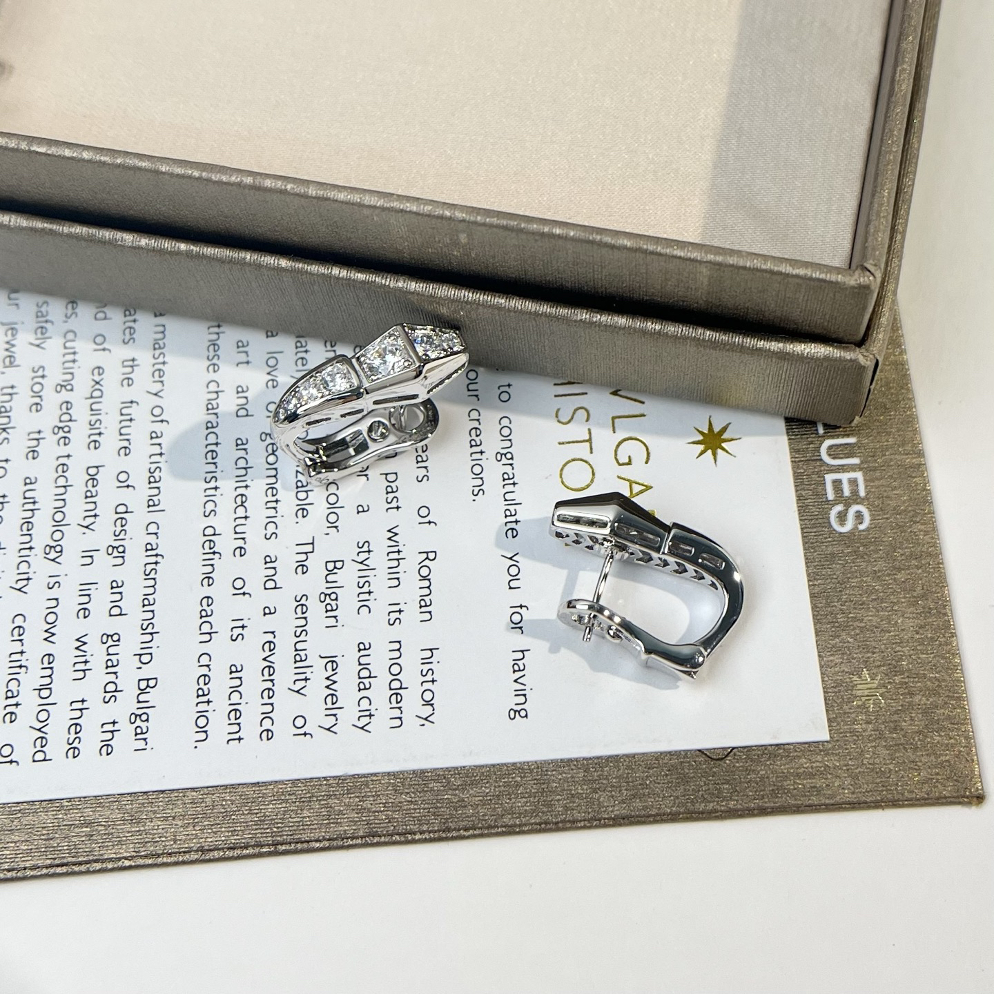 Bottega Veneta earrings-44