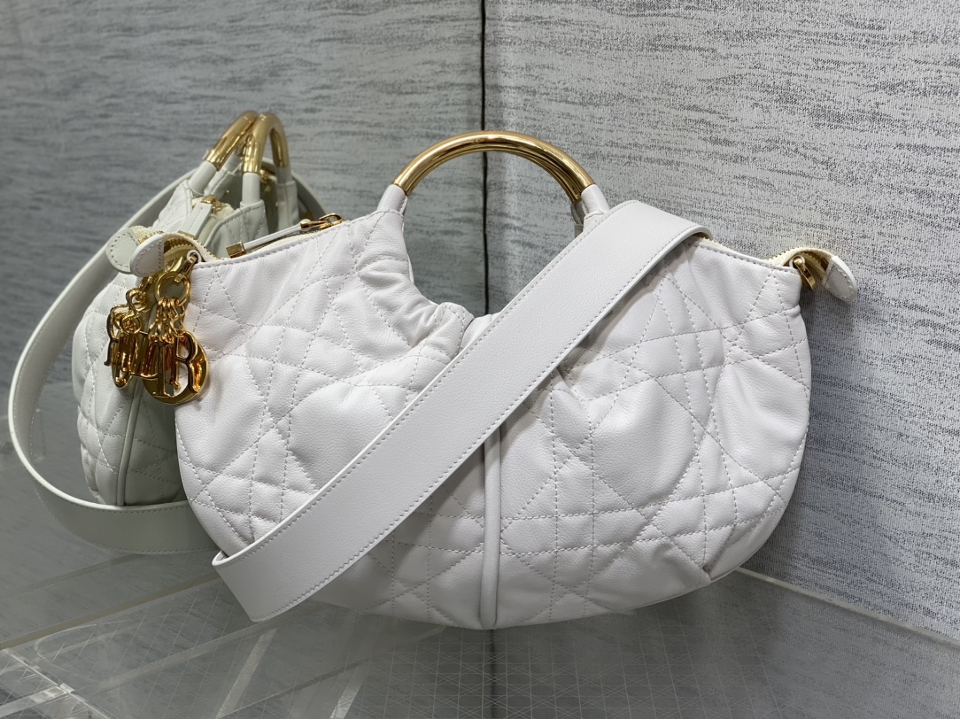 Dior bag-5