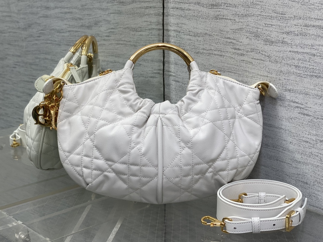 Dior bag-19
