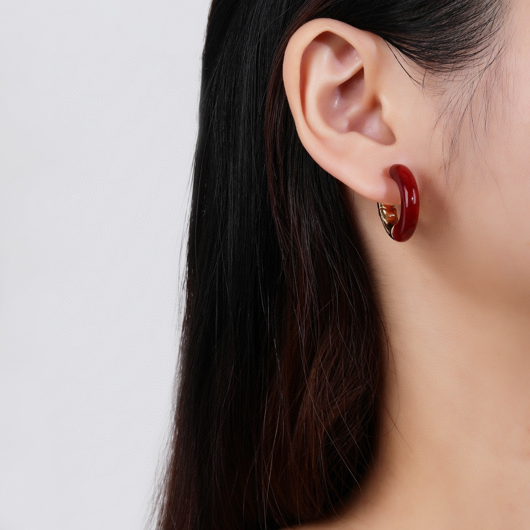 Bottega Veneta earrings-77