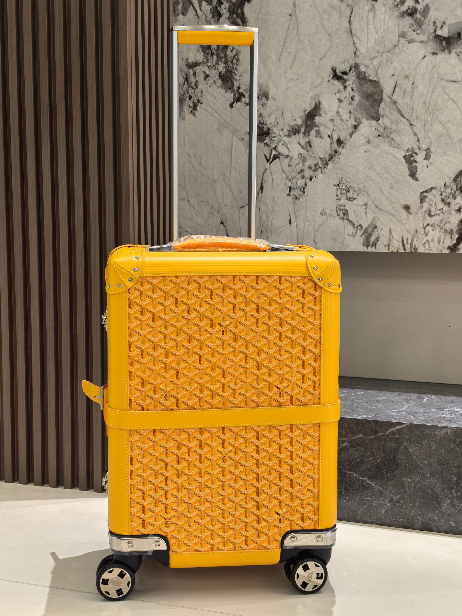 Goyard luggage-20