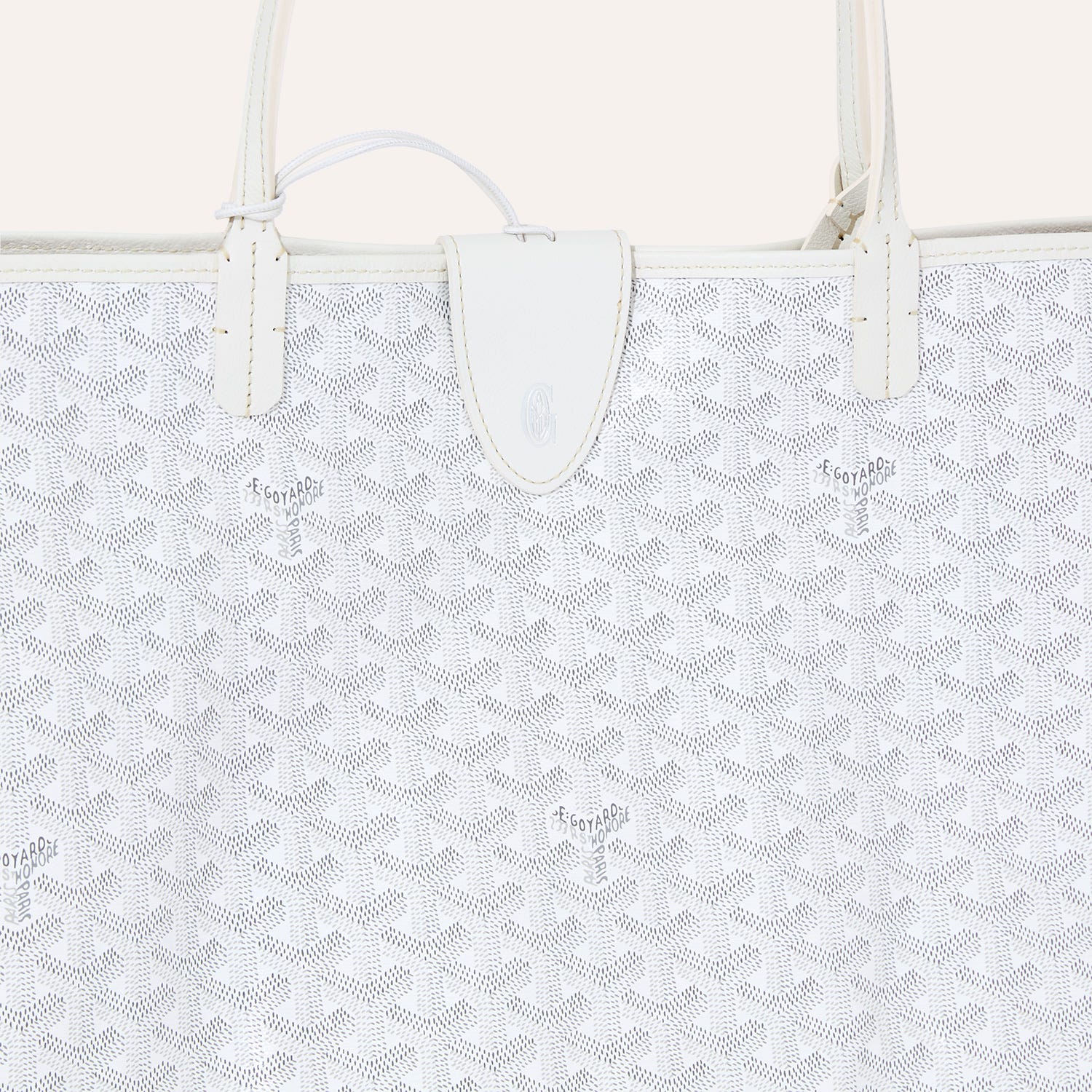 Saint Louis GM Bag