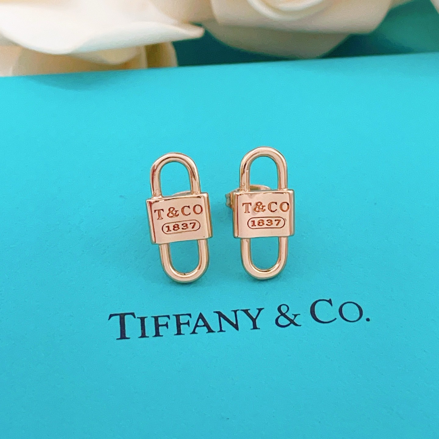 tiffany earrings-68