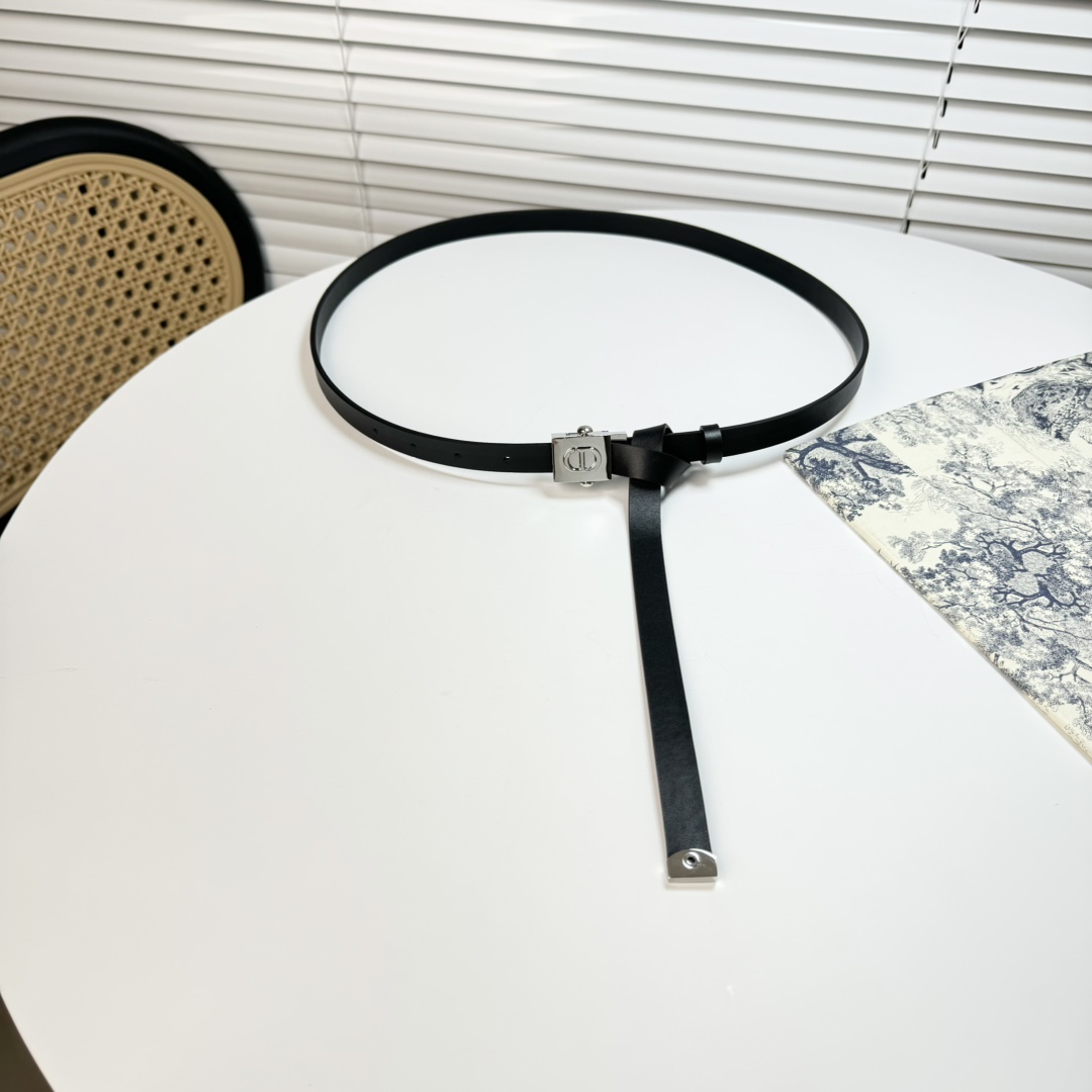 Dior belt-56